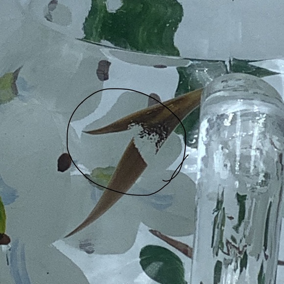 Vintage Hand Painted Dogwood Ball Pitcher with Ice Lip - Picture 8 of 8